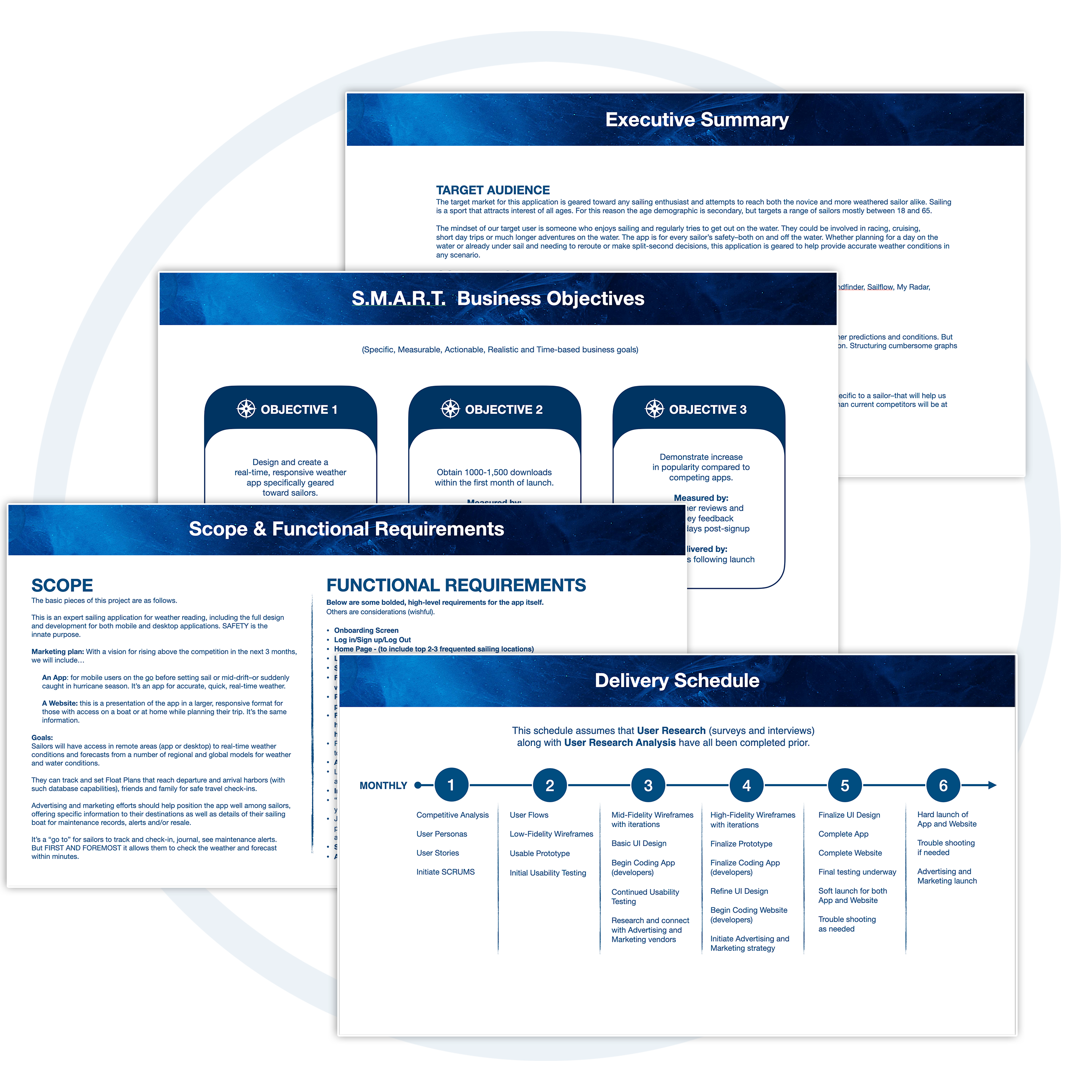 Business Summary, Objectives, Requirements and Schedule