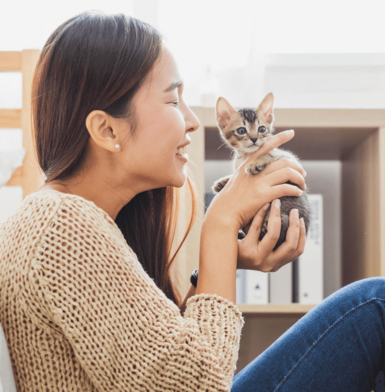 Business Summary, Objectives, Requirements and Schedule